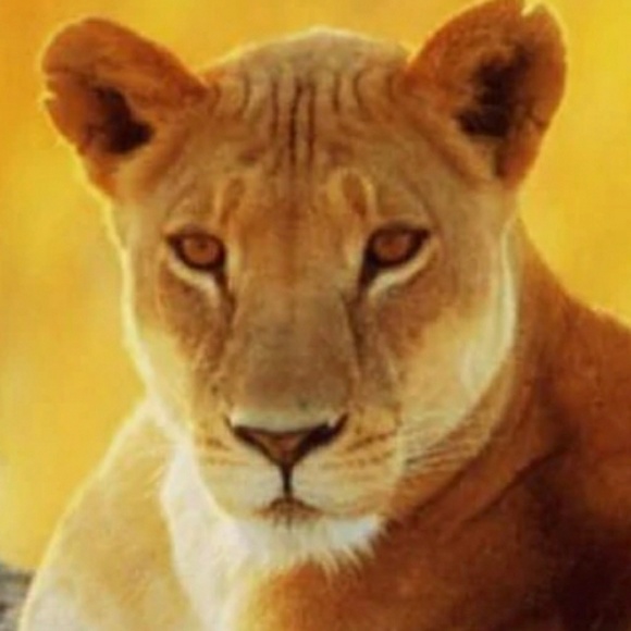 Meet your Posher, Brooke - Picture 1 of 1